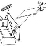 2 - Togliete dalla cassetta il tetto ed il piolino che fa da posatoio